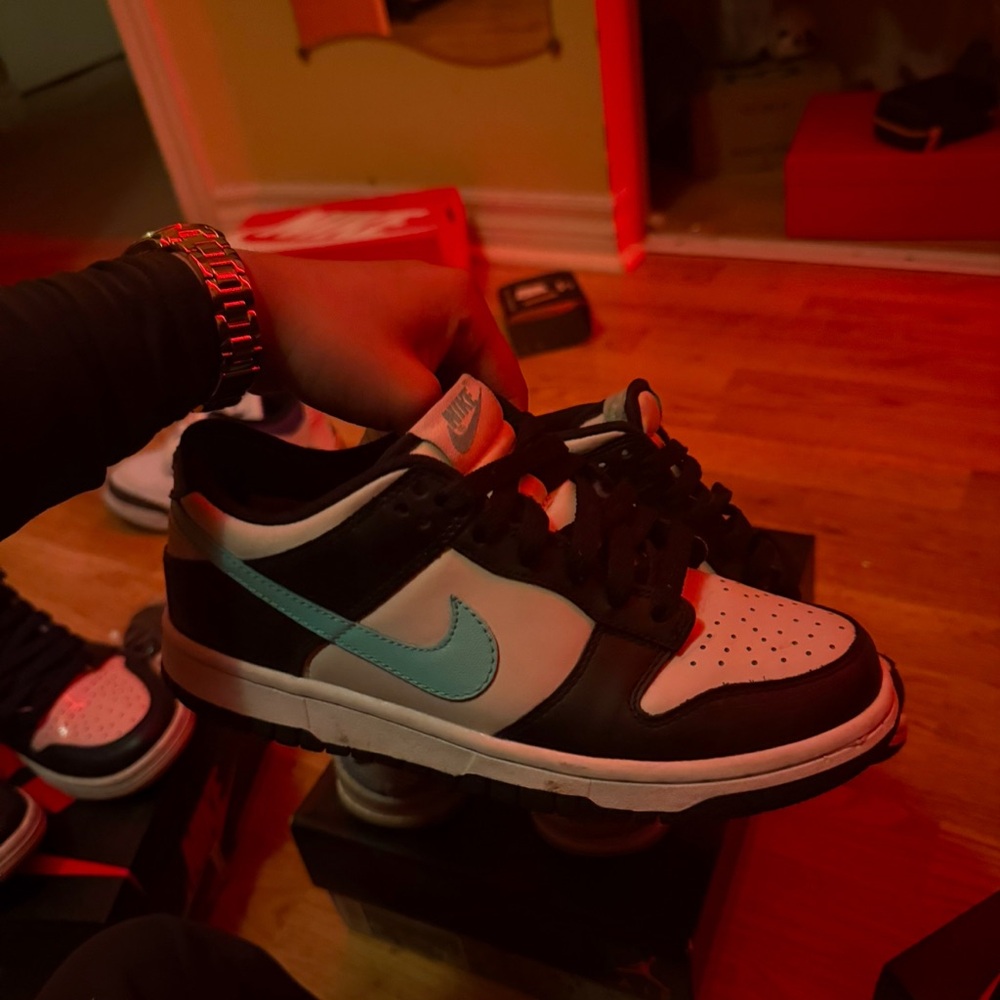 Nike dunks teal